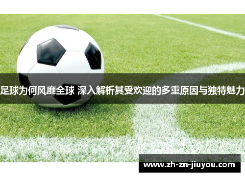 足球为何风靡全球 深入解析其受欢迎的多重原因与独特魅力