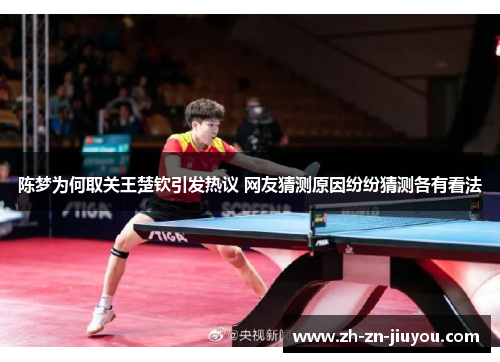 陈梦为何取关王楚钦引发热议 网友猜测原因纷纷猜测各有看法 陈梦为何取关王楚钦引发热议 网友猜测原因纷纷猜测各有看法