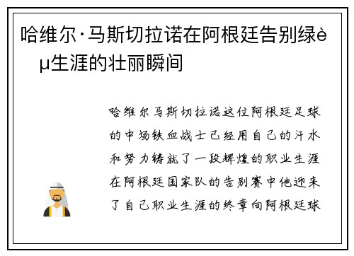 哈维尔·马斯切拉诺在阿根廷告别绿茵生涯的壮丽瞬间